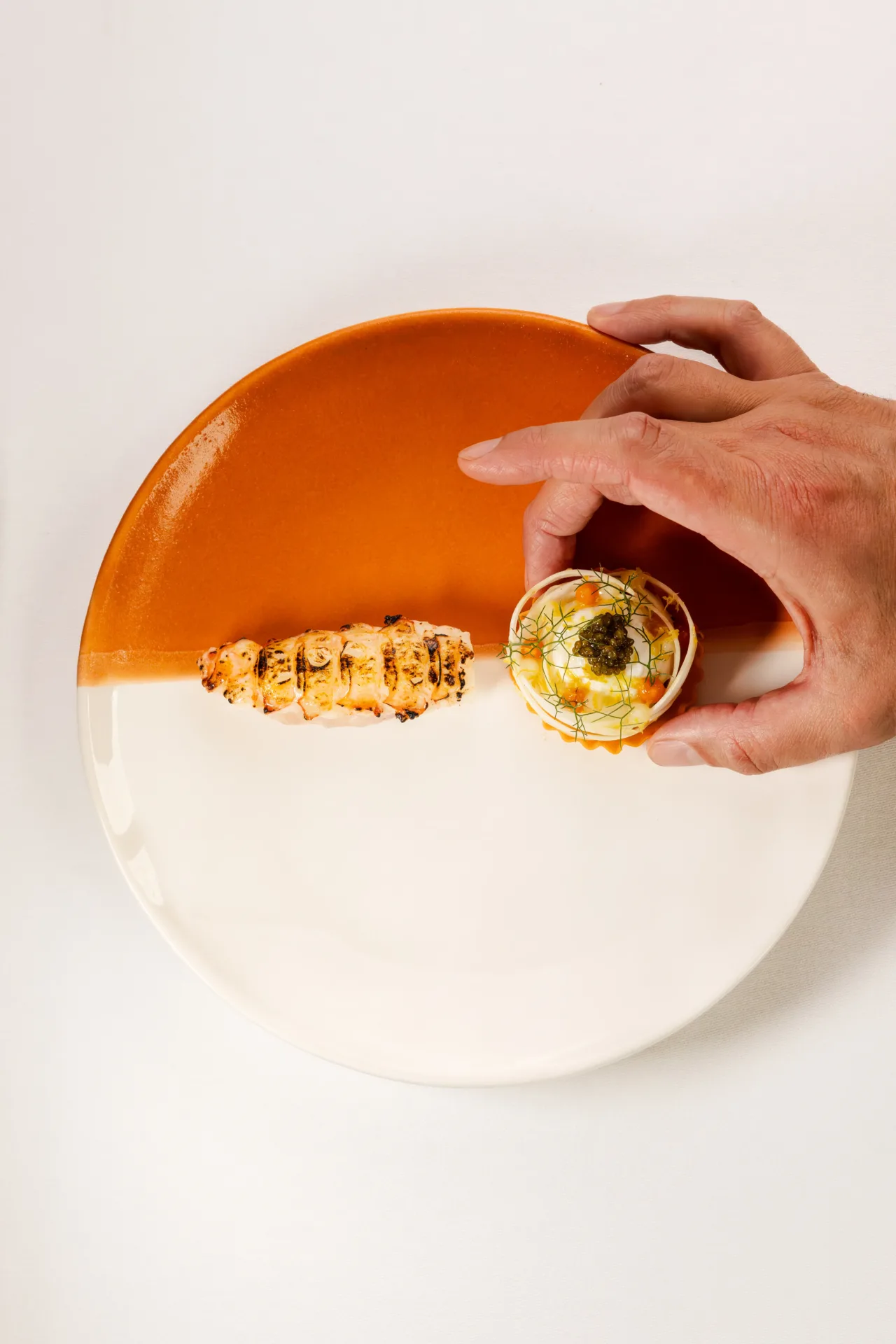 LD Langoustine